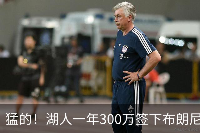 猛的！湖人一年300万签下布朗尼大哥！